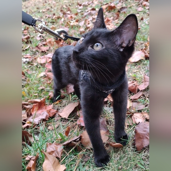 Bundle & Save.. - Picture 4 of 15